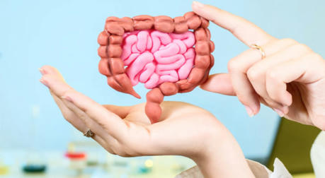 The Link Between Gut Health and Overall Well-Being