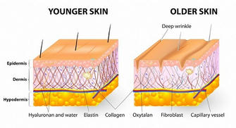 The Key to Youth: 10 Foods That Naturally Boost Collagen